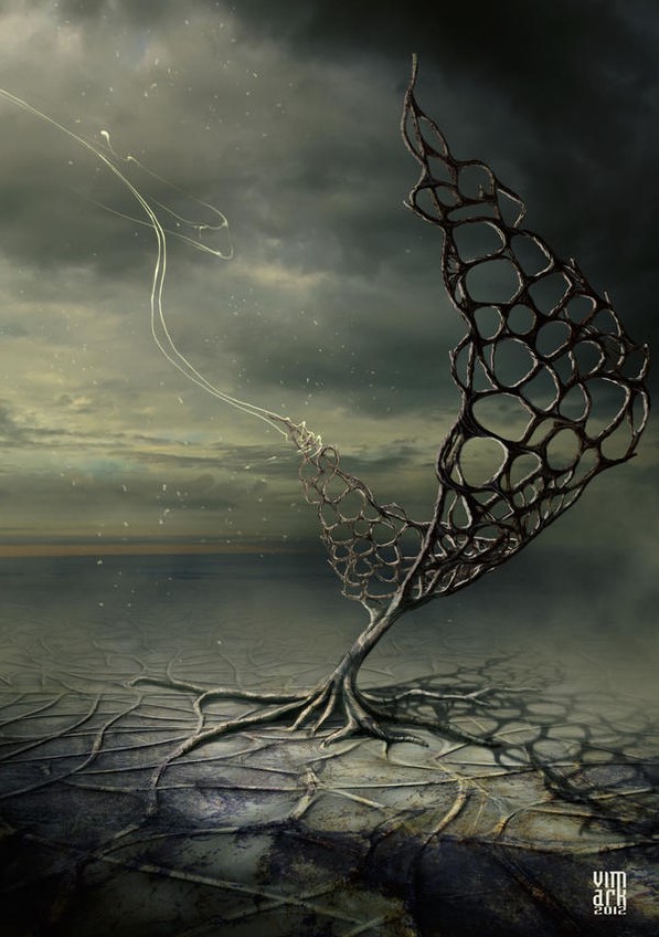The night wind, 2012